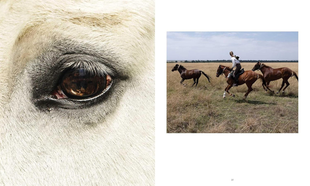 Horse Country Book